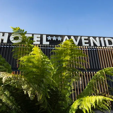 호텔 Avenida 3*
