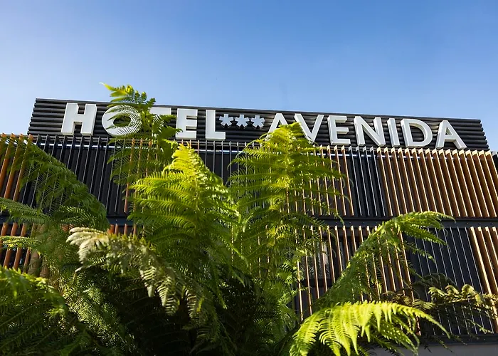 Hotel Avenida 3*